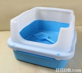 寵物用品批發(fā)新篇章 petshop 8888轉(zhuǎn)型與搬遷公告